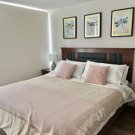 Apartamentos Concepcion Centro エクステリア 写真