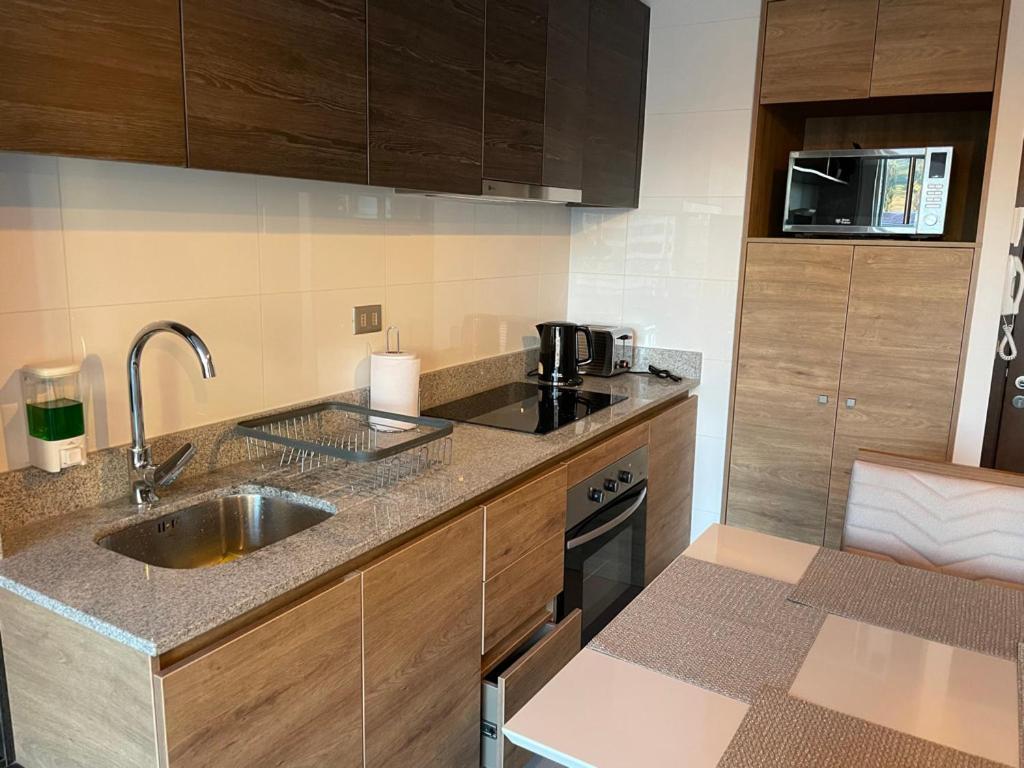 Apartamentos Concepcion Centro エクステリア 写真