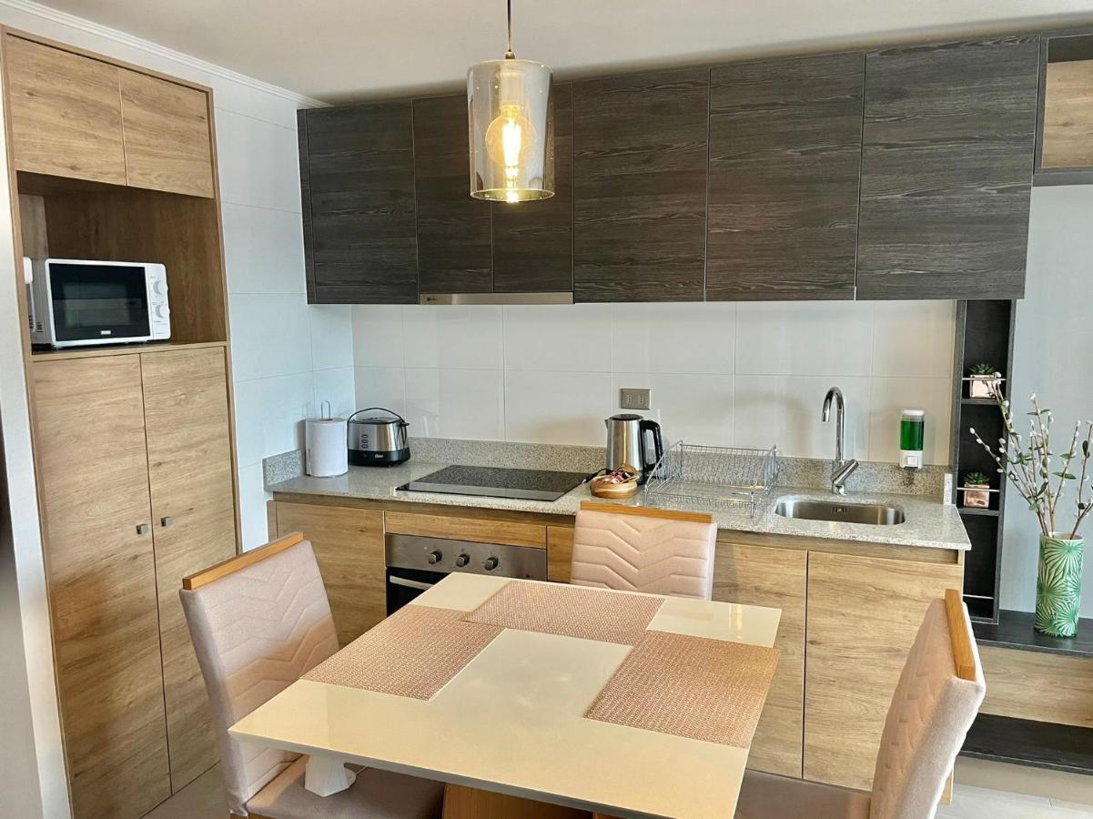 Apartamentos Concepcion Centro エクステリア 写真