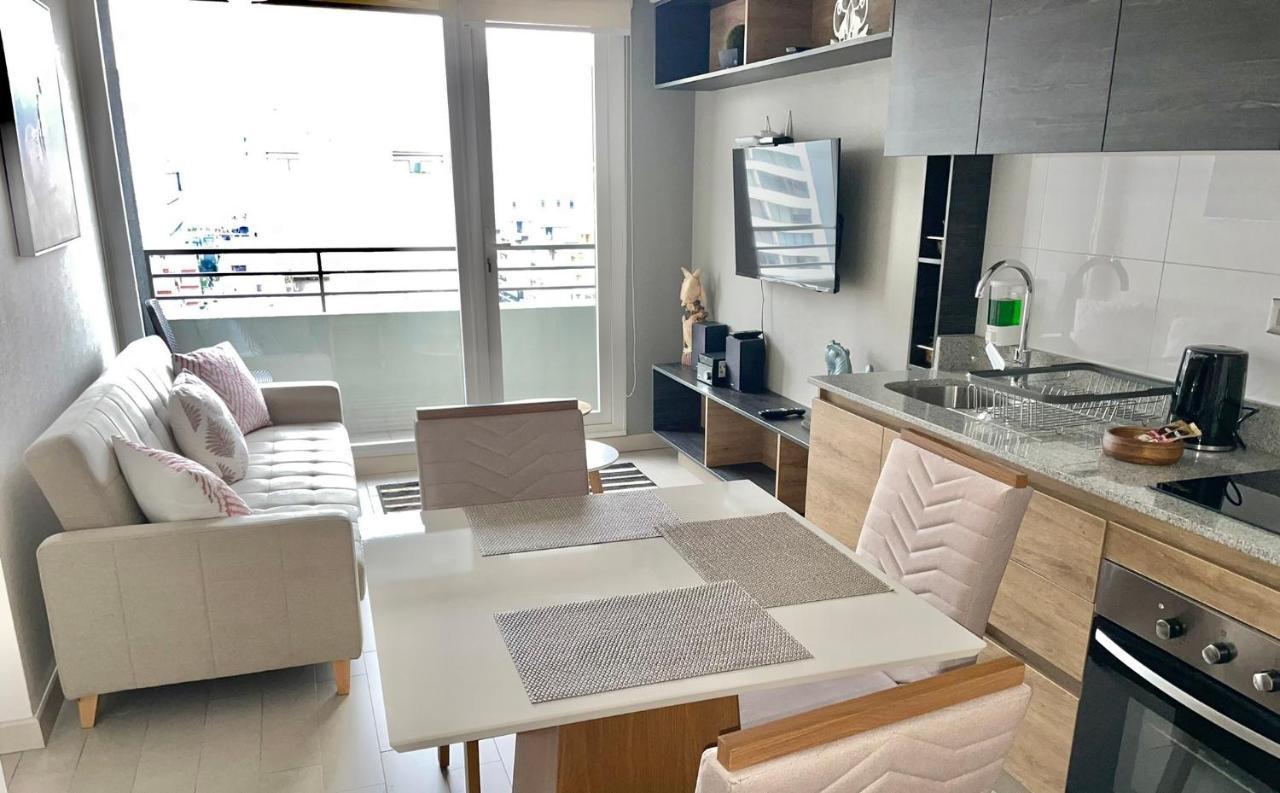 Apartamentos Concepcion Centro エクステリア 写真
