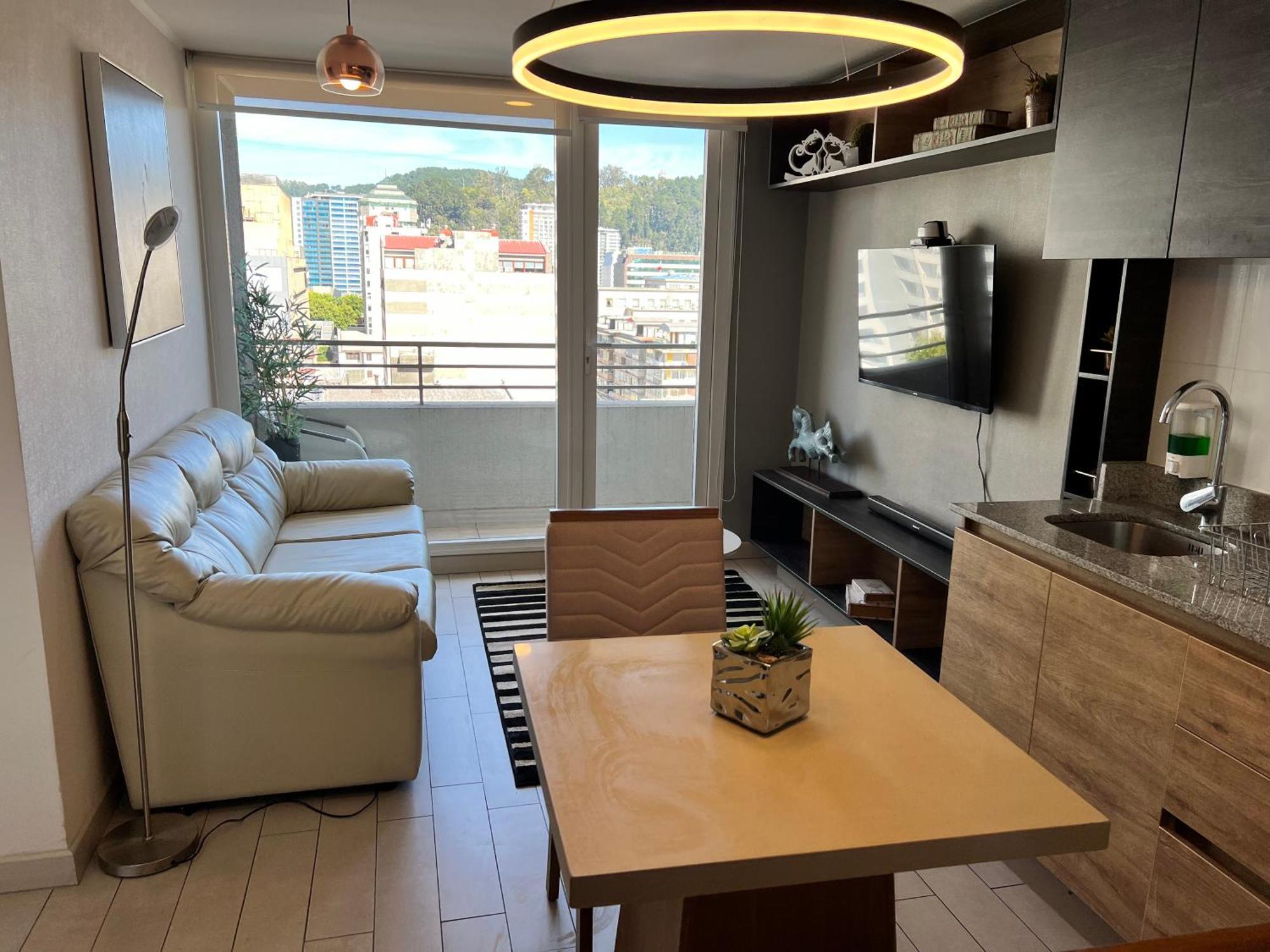 Apartamentos Concepcion Centro エクステリア 写真