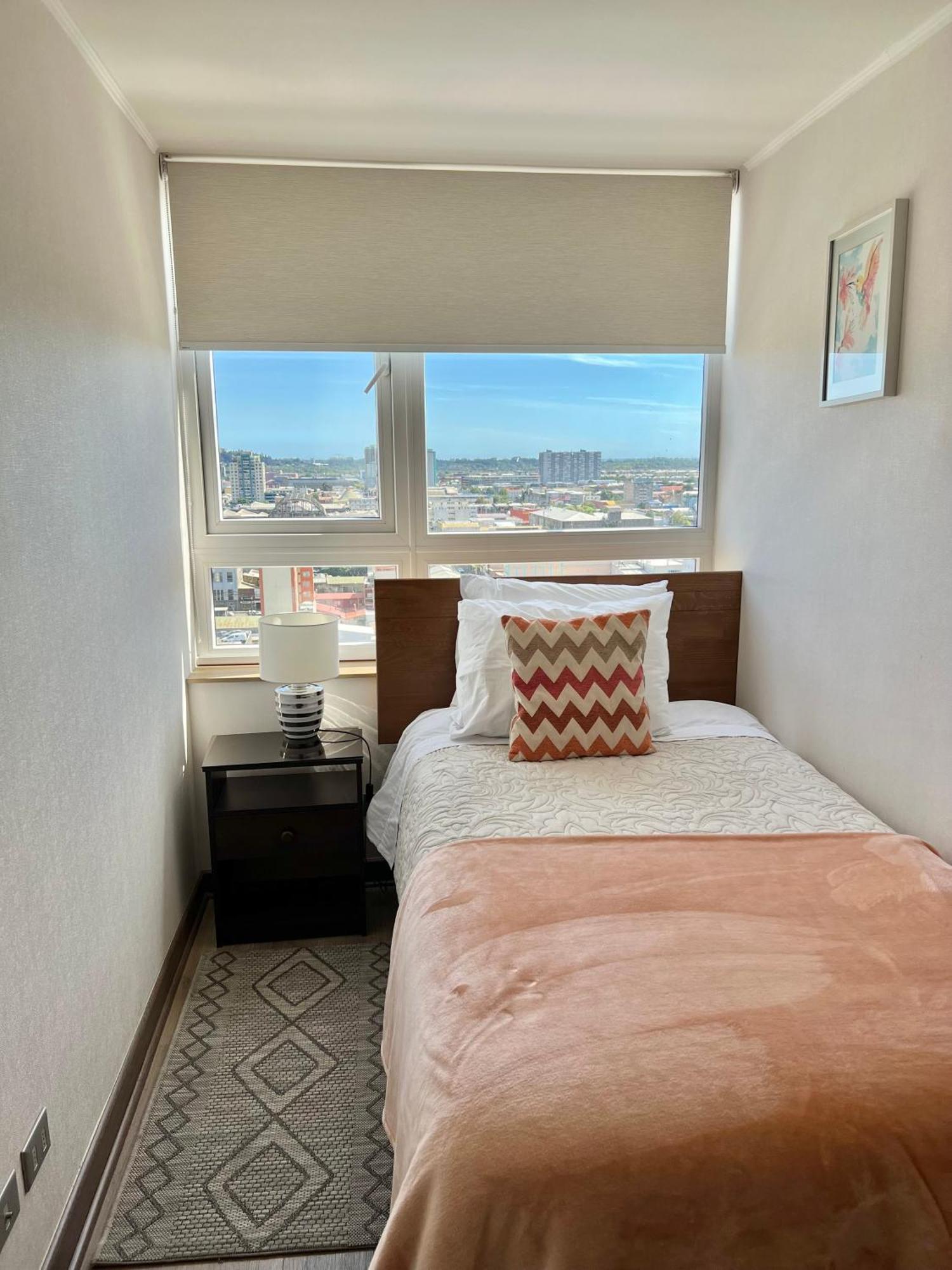 Apartamentos Concepcion Centro エクステリア 写真
