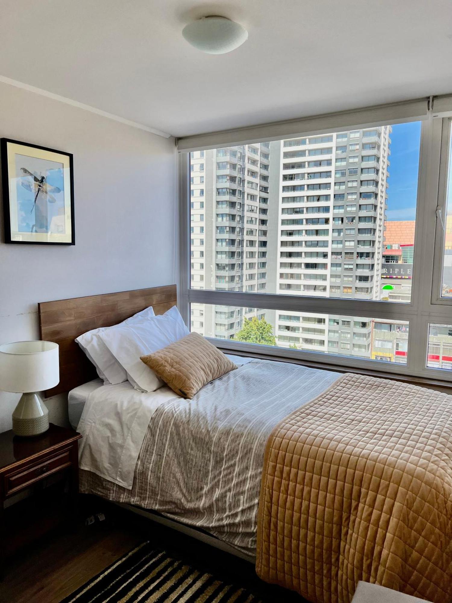 Apartamentos Concepcion Centro エクステリア 写真