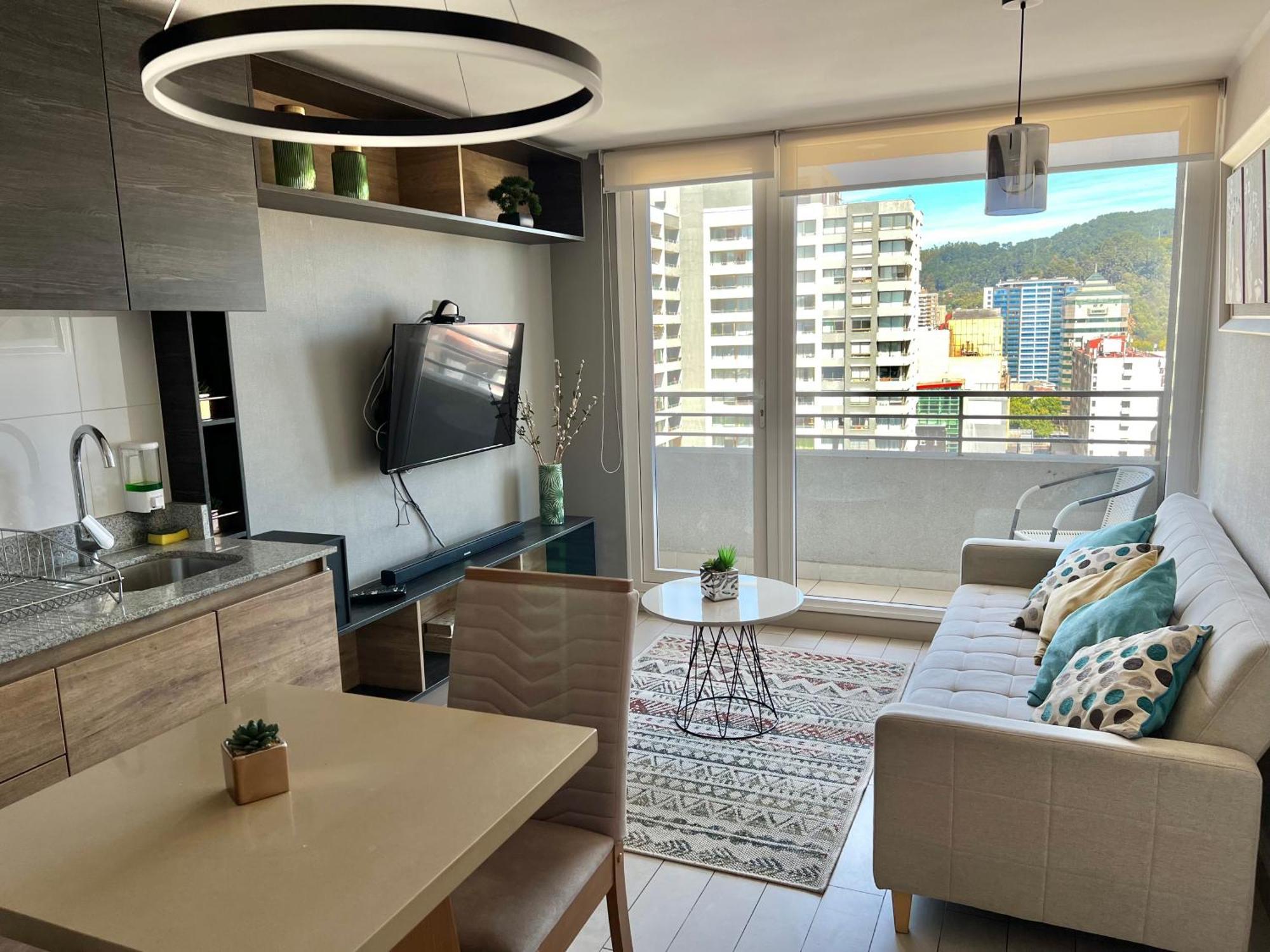Apartamentos Concepcion Centro エクステリア 写真