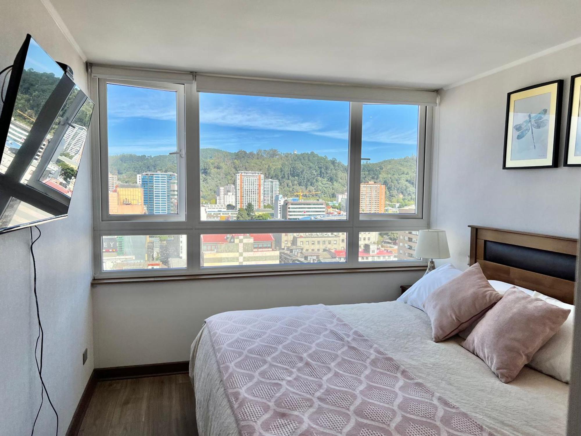 Apartamentos Concepcion Centro エクステリア 写真