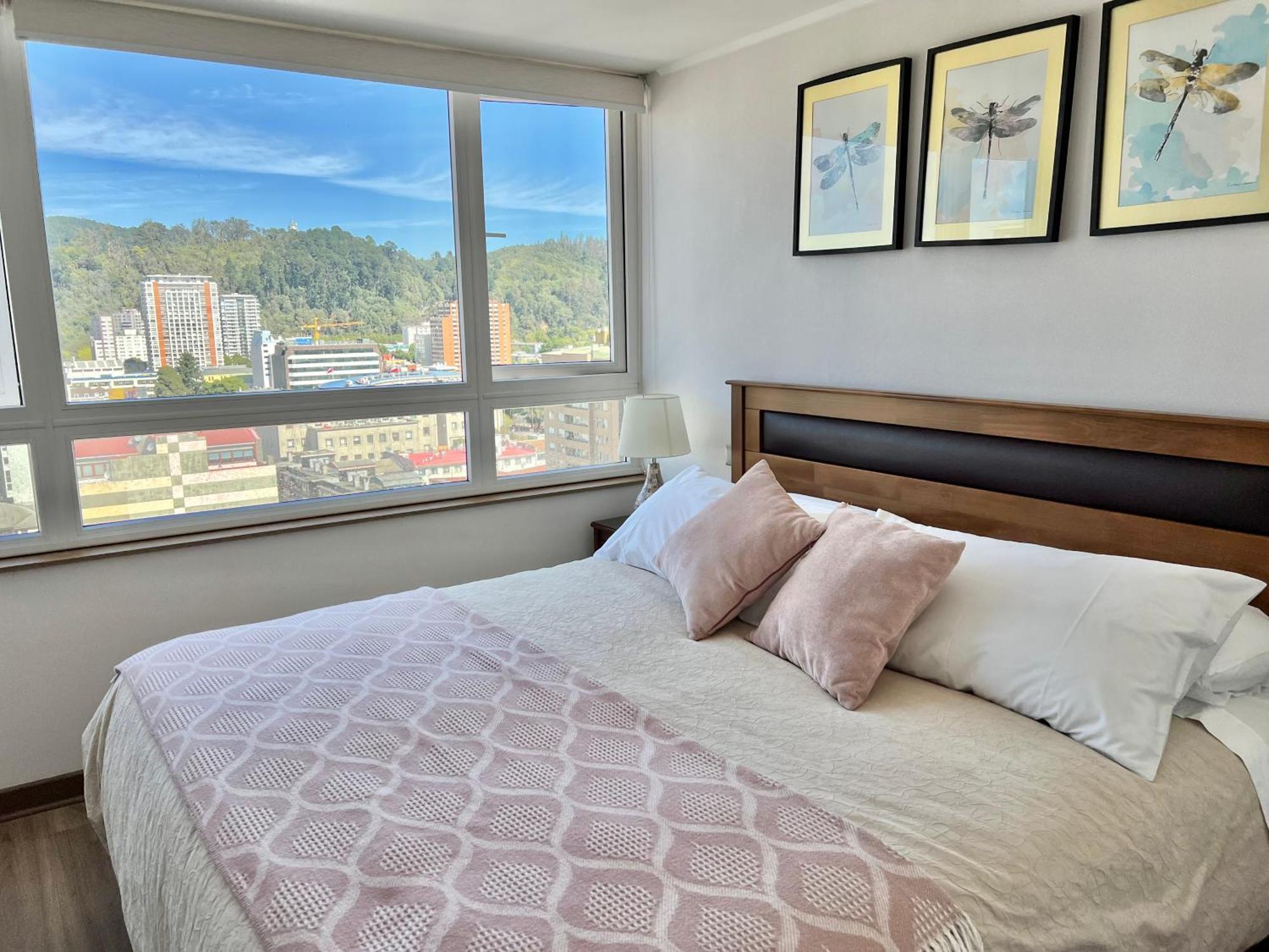 Apartamentos Concepcion Centro エクステリア 写真